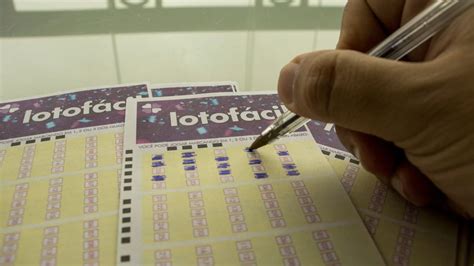Lotofácil 3035: Sete apostas ganham R$ 477 mil cada; veja result.